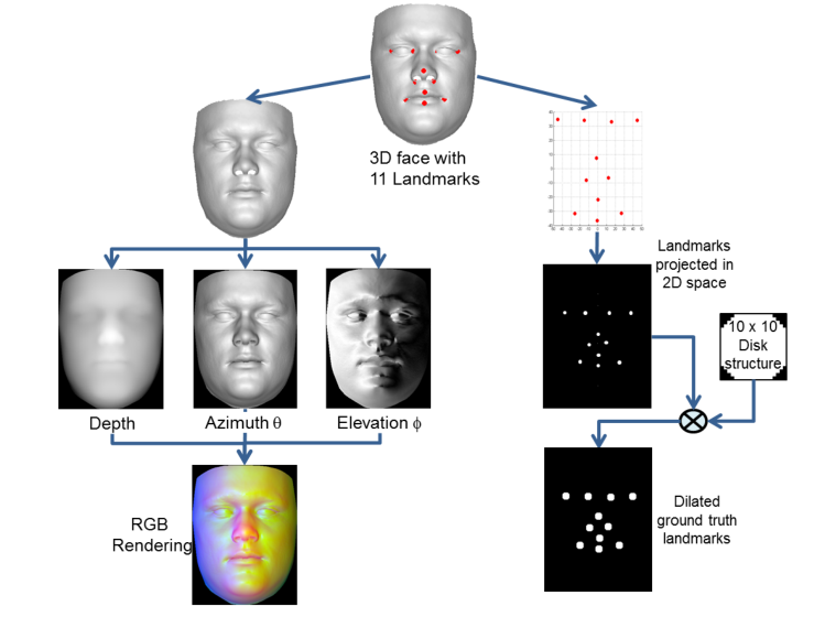 The process of generating training data for the DLIN. Left shows the process of preparing the input image while preparation of ground truth landmarks is shown on the right. The process is repeated for all input images to the DLIN.