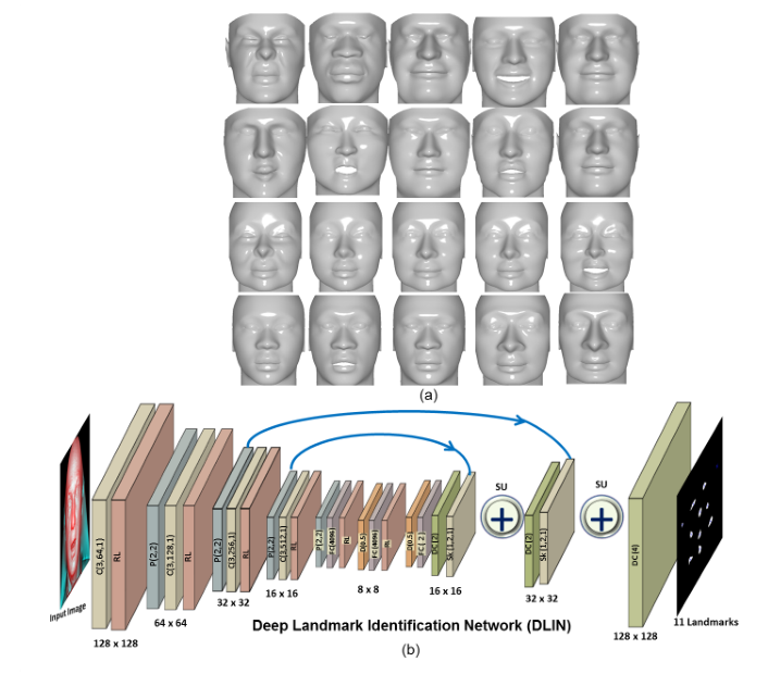 (a) Sample images used to train the DLIN. Notice the variations in different modalities of the training data.(b) Network architecture of DLIN.