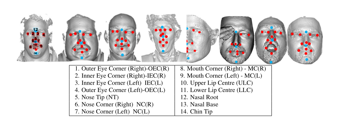 Sample images from the FRGCv2 (first four) andBosphorus databases (last four) along with the landmarks used in this paper. We detect the 11 red coloured landmarks with DLIN and the three blue onesby fitting the R3DM.